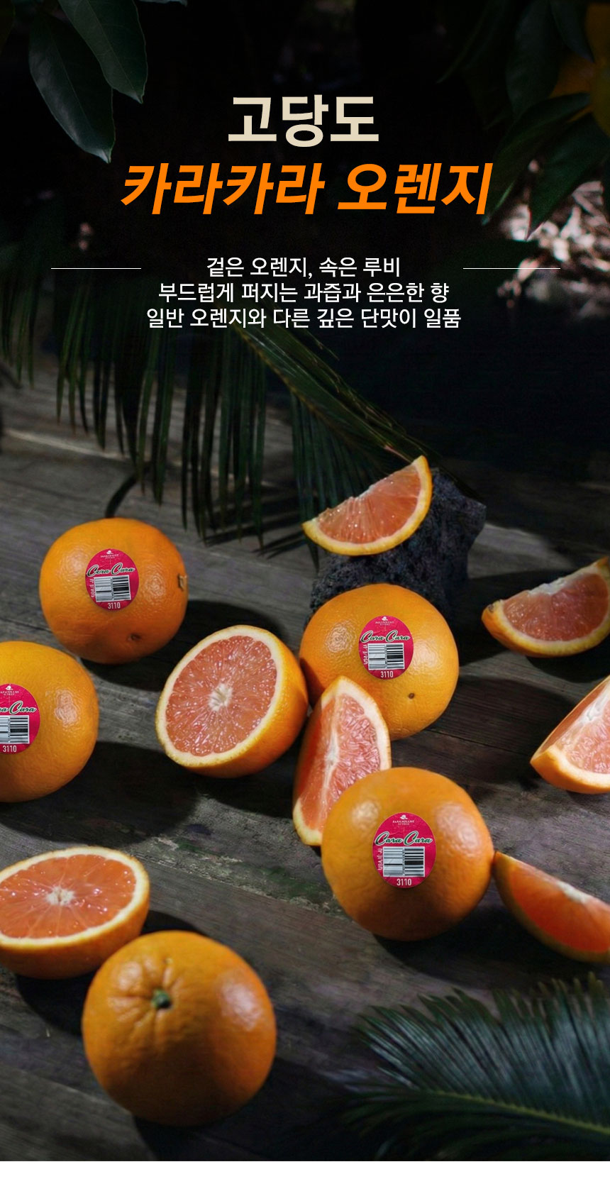 cara_orange_2026_01.jpg