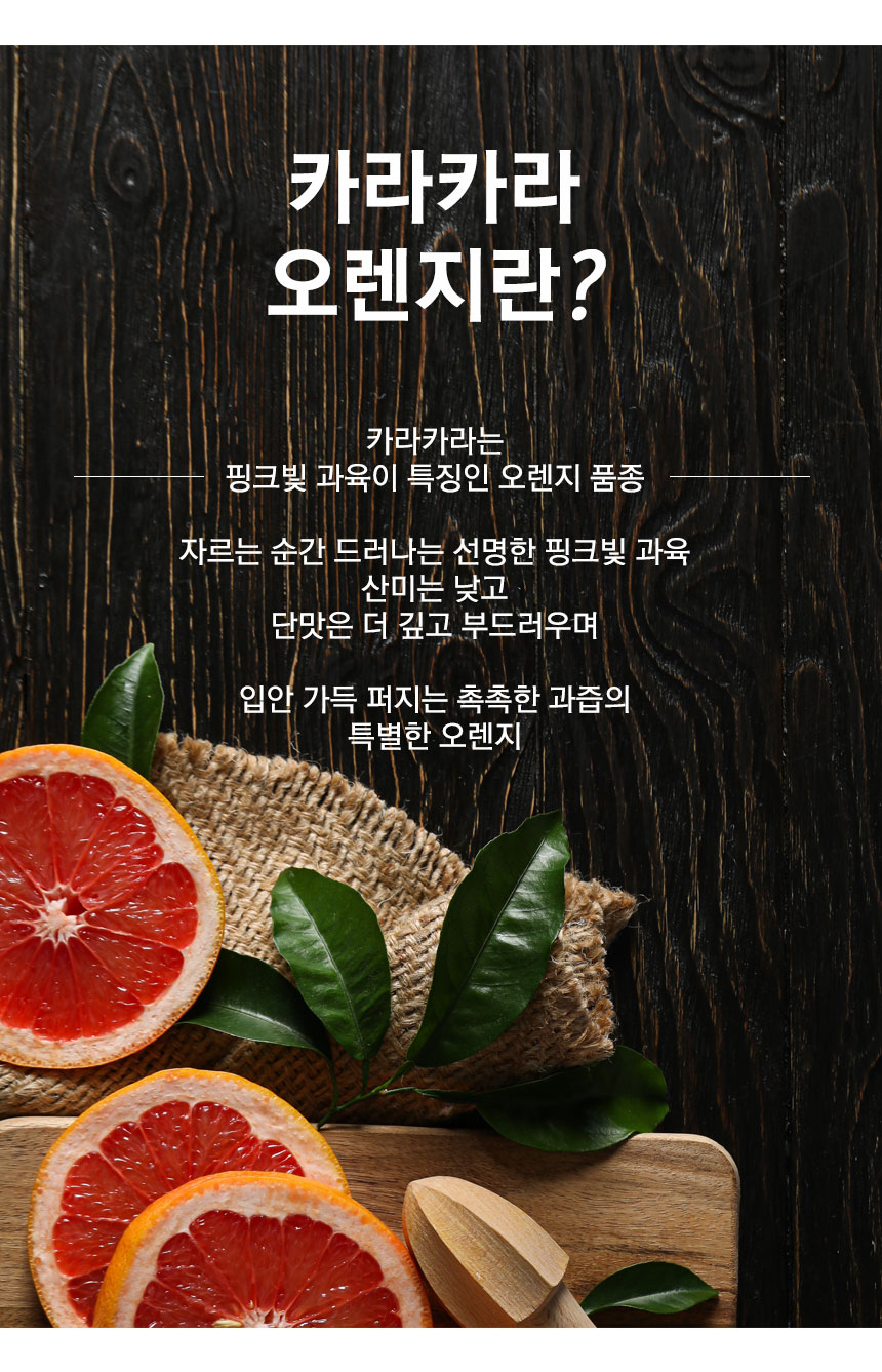 cara_orange_2026_02.jpg