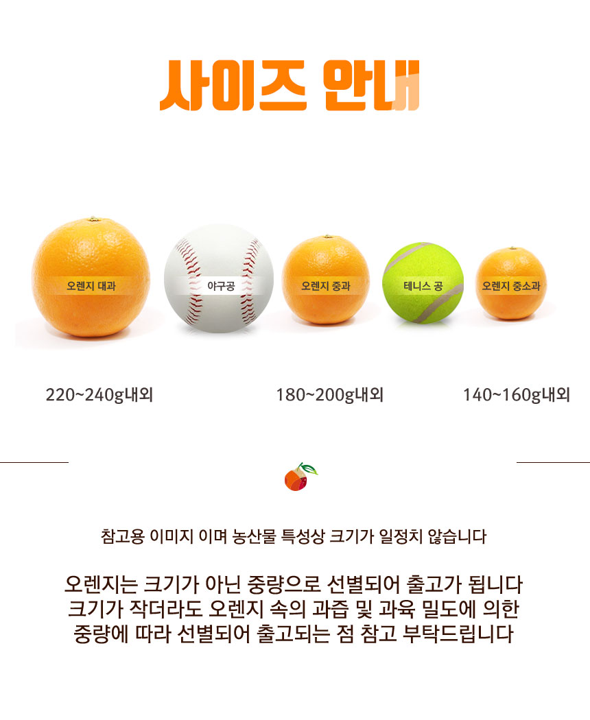 cara_orange_2026_06.jpg