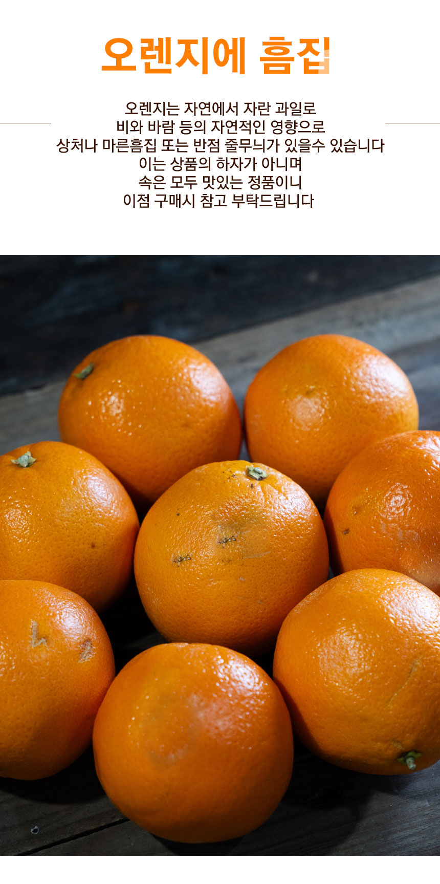 cara_orange_2026_07.jpg