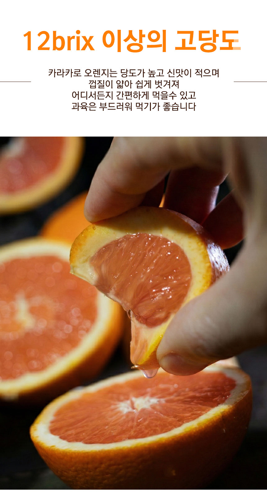 cara_orange_2026_08.jpg