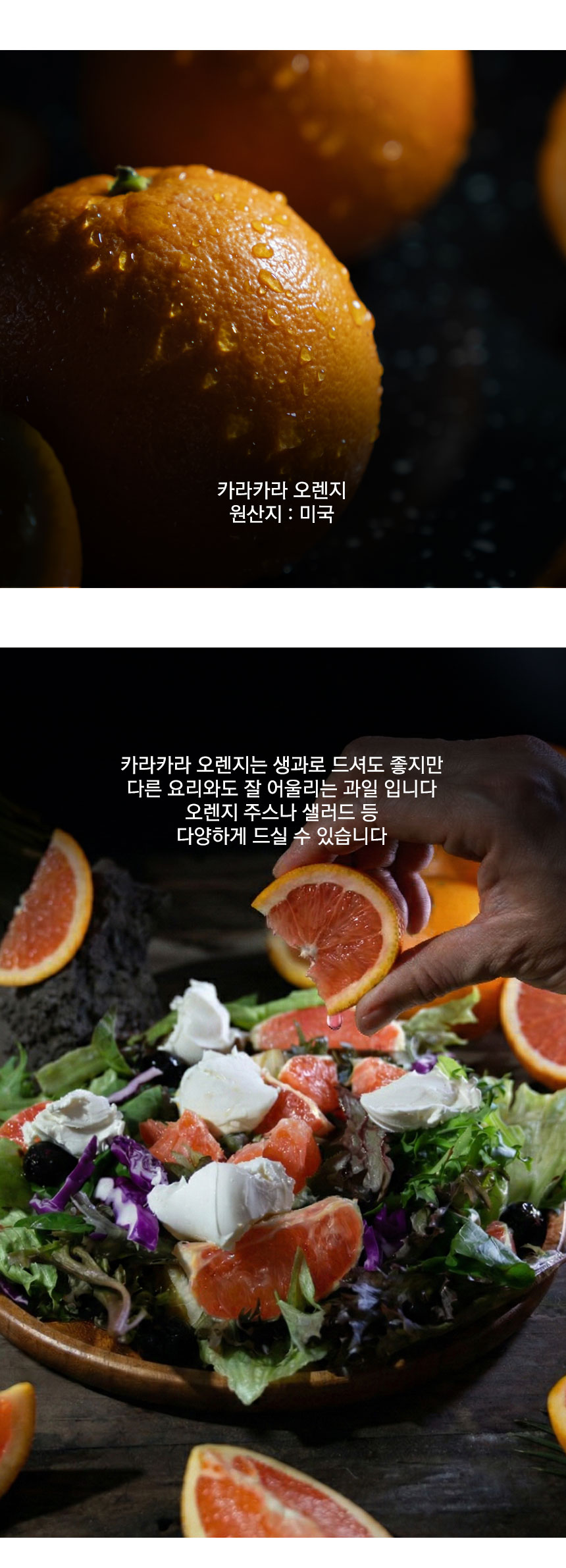 cara_orange_2026_09.jpg