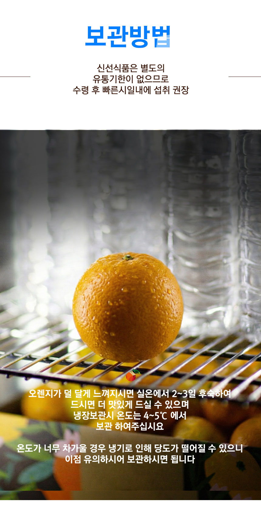 cara_orange_2026_10.jpg