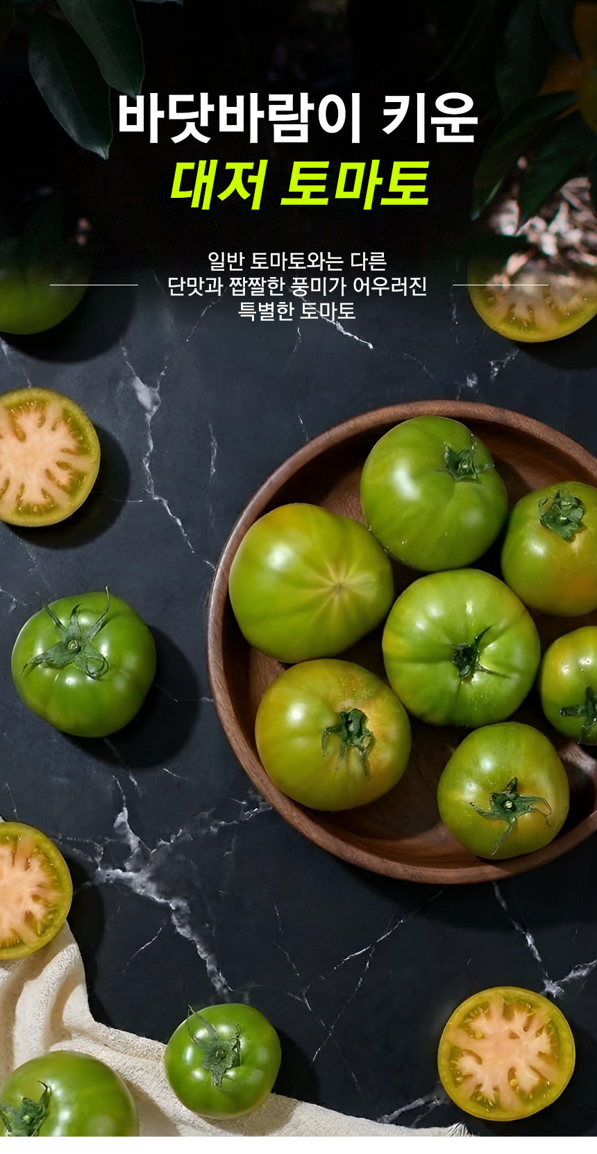 tomato_2026_01.jpg