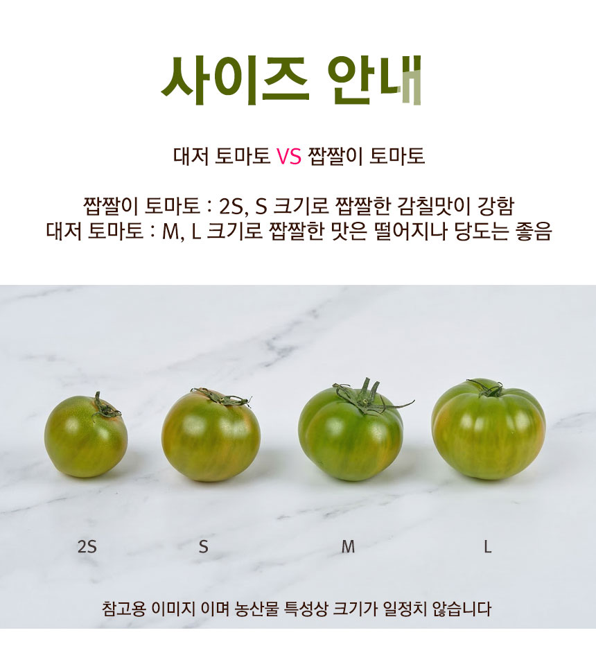 tomato_2026_05.jpg