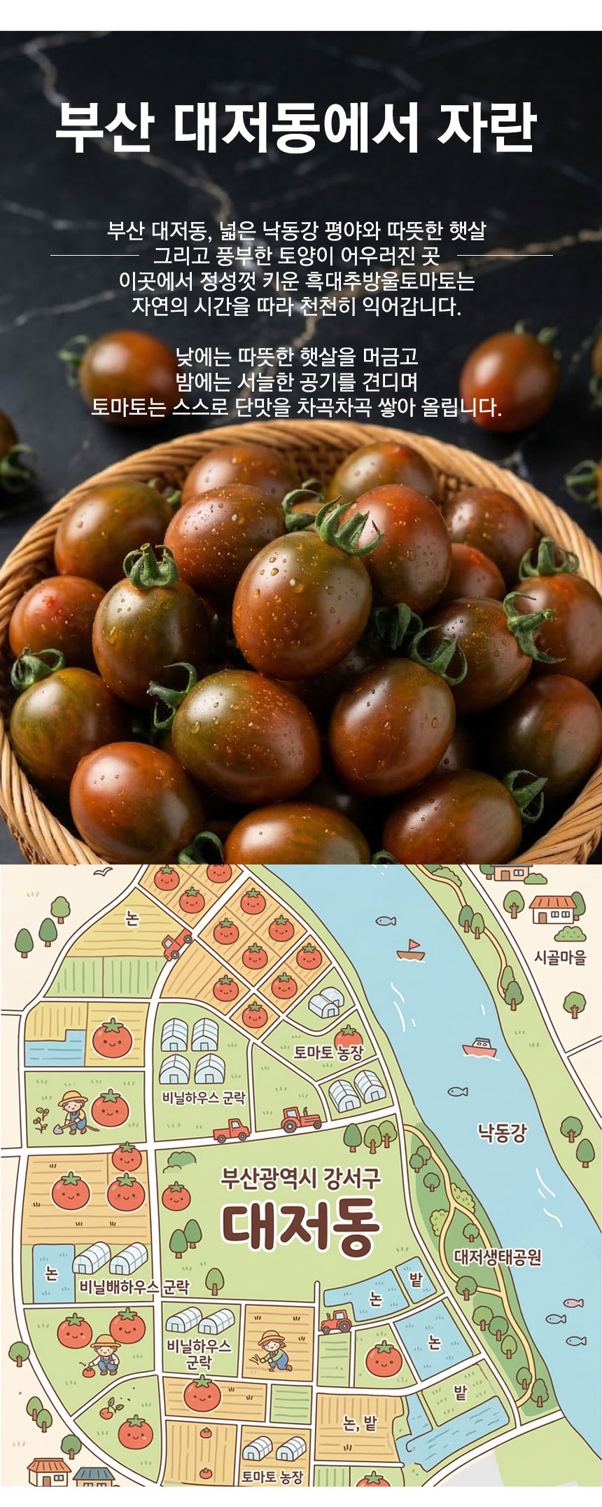 blacktomato_2026_02.jpg