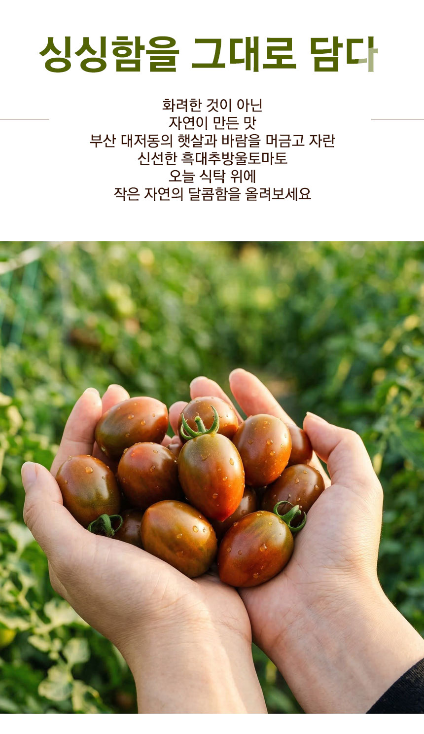 blacktomato_2026_05.jpg