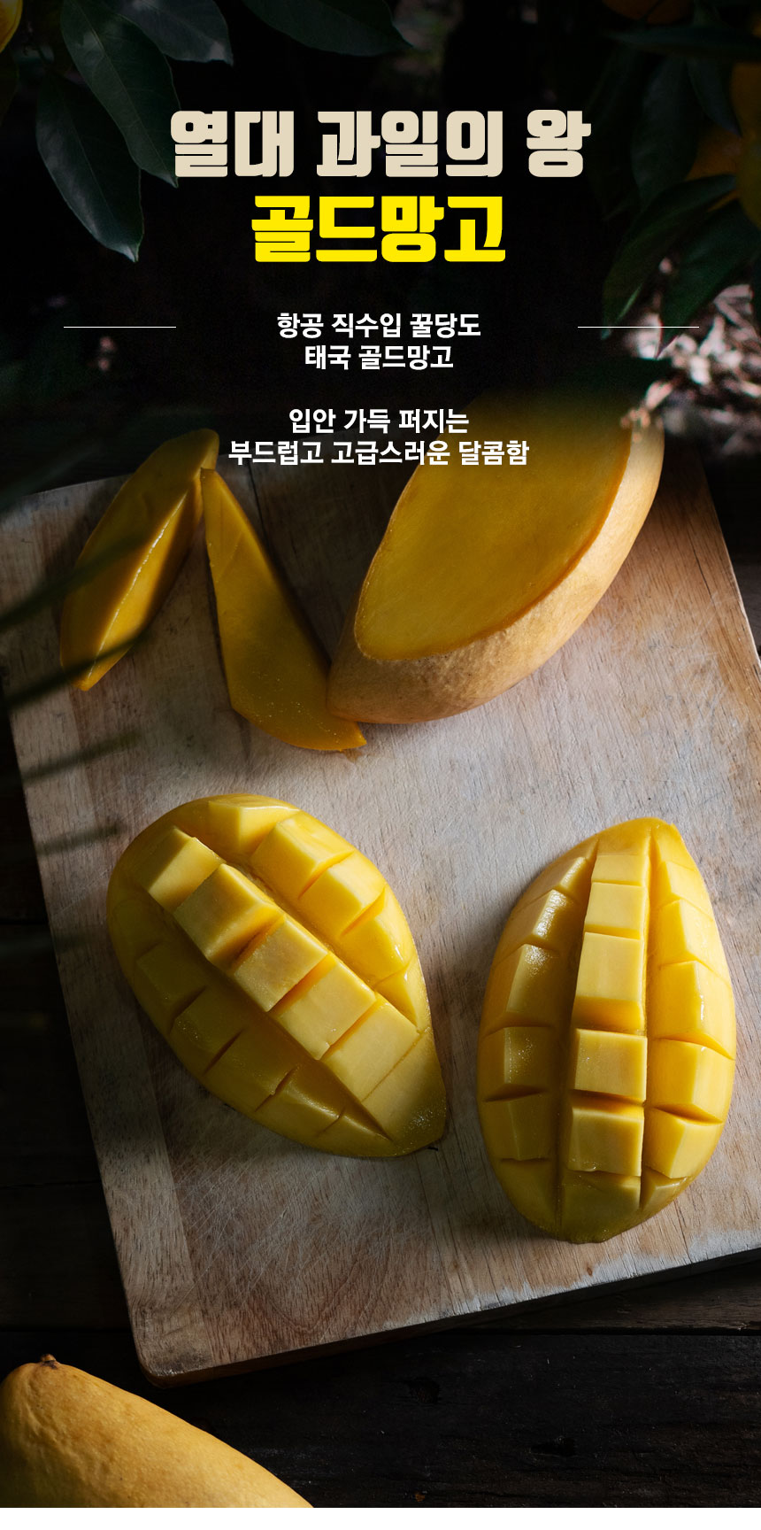 gold_mango_2024_01.jpg