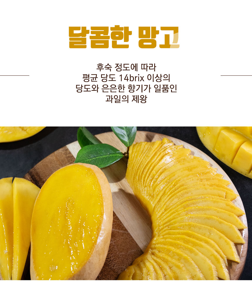 gold_mango_2024_04.jpg