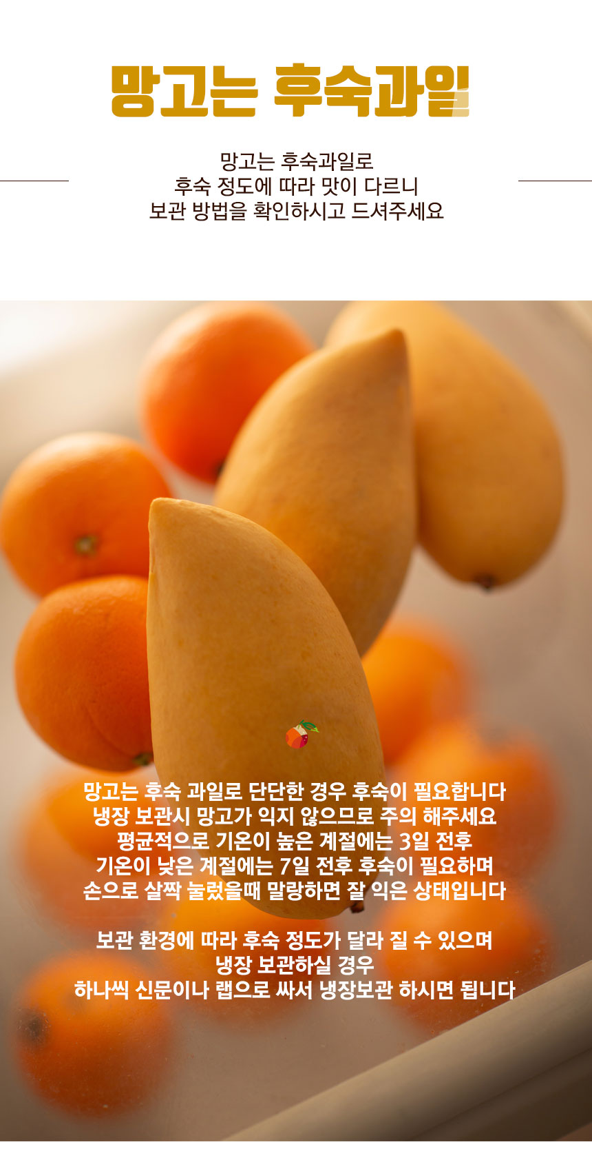 gold_mango_2024_09.jpg