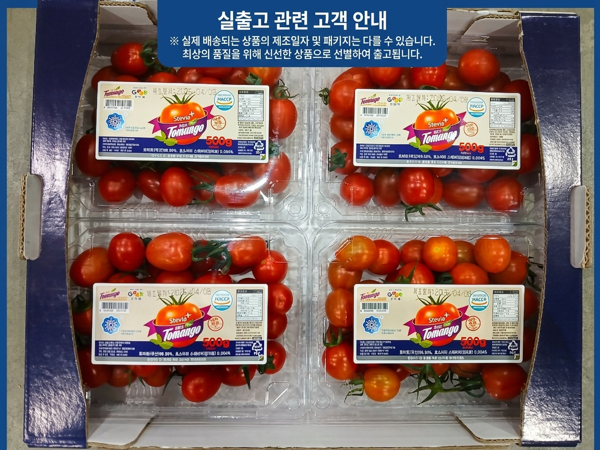 실출고_토망고일반.png