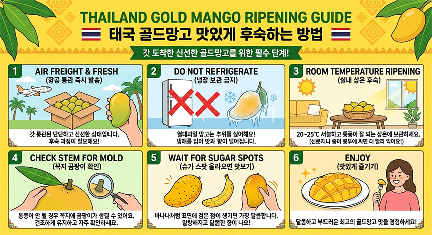 골드망고-후숙방법.jpg