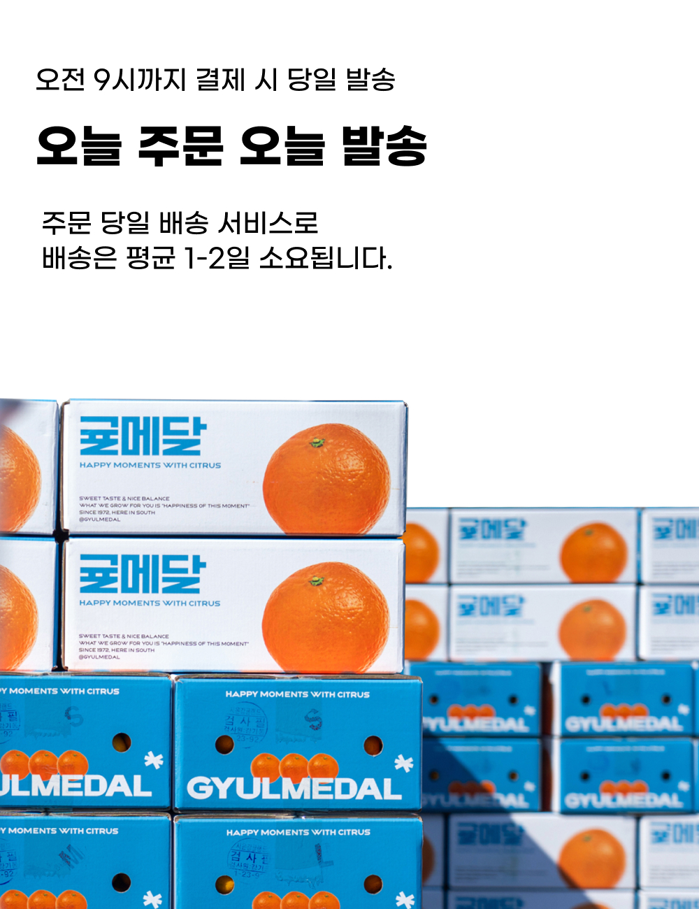 0공통_당일 발송 배너.jpg