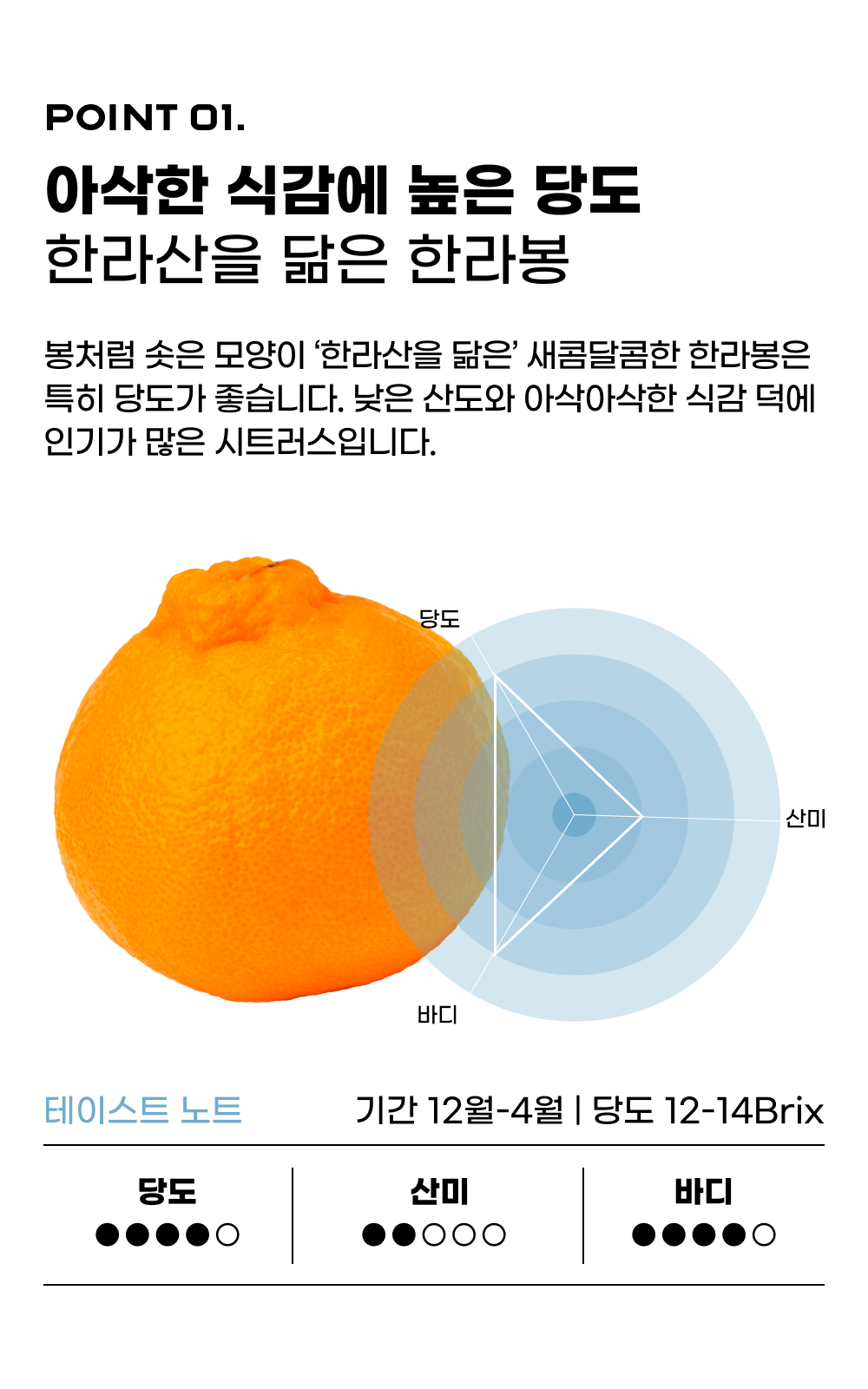 251201_한라봉_11.jpg