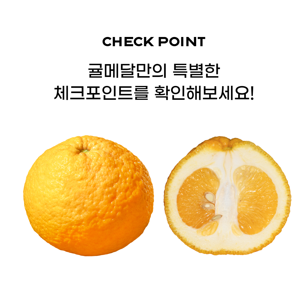 260430_하귤_08.jpg