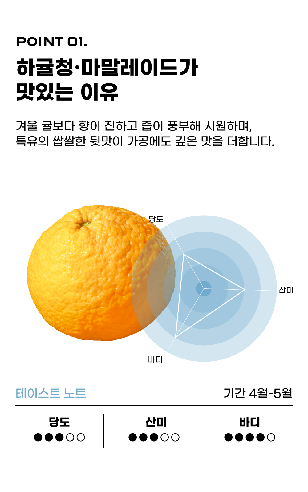 260430_하귤_09.jpg