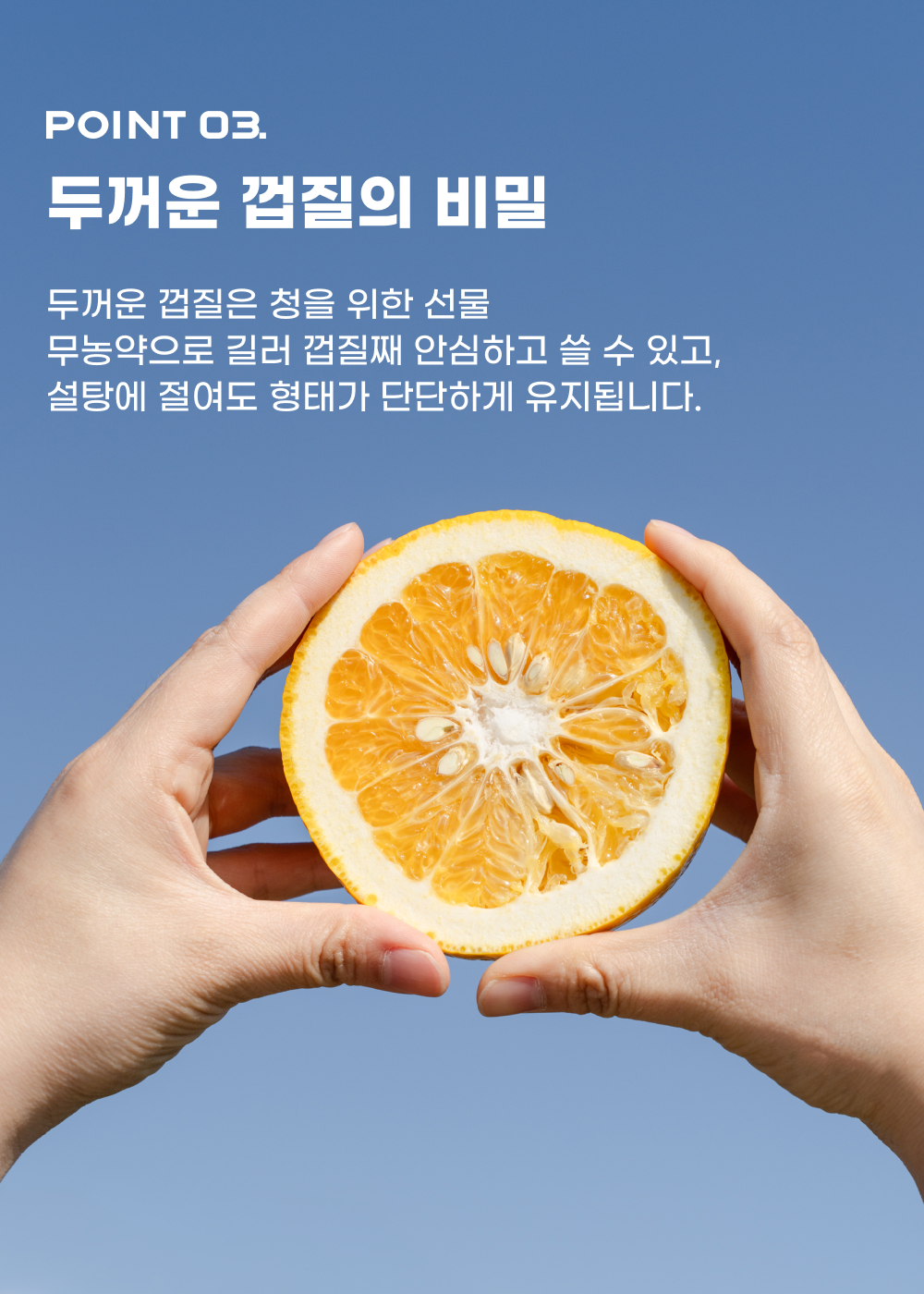 260430_하귤_11-1.jpg