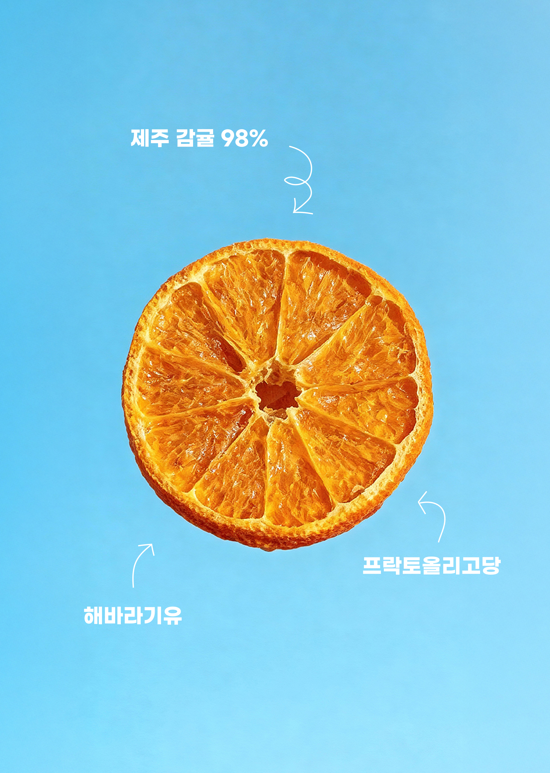 260317_감귤칩_04-2.jpg
