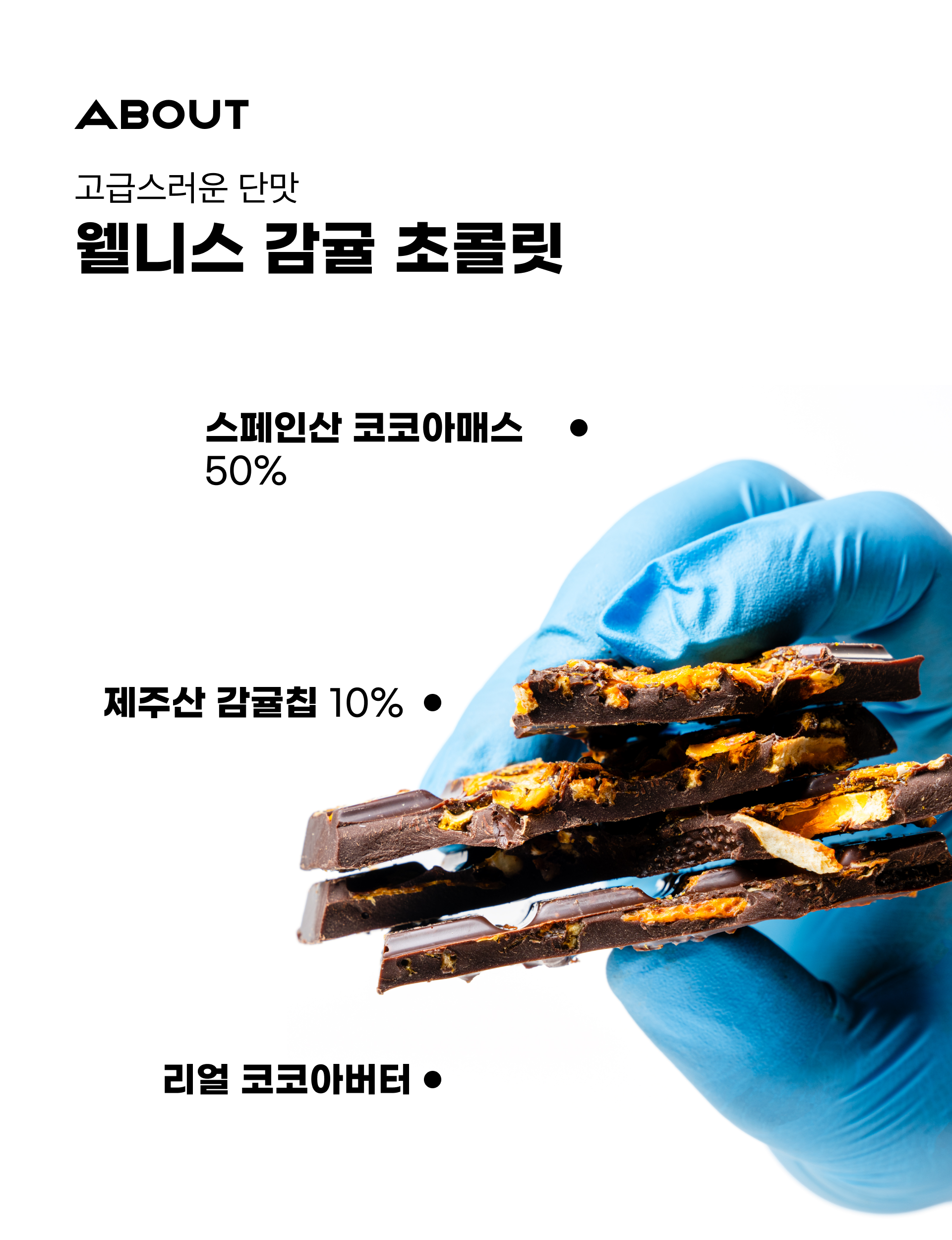 260611_감귤초콜릿_02.png