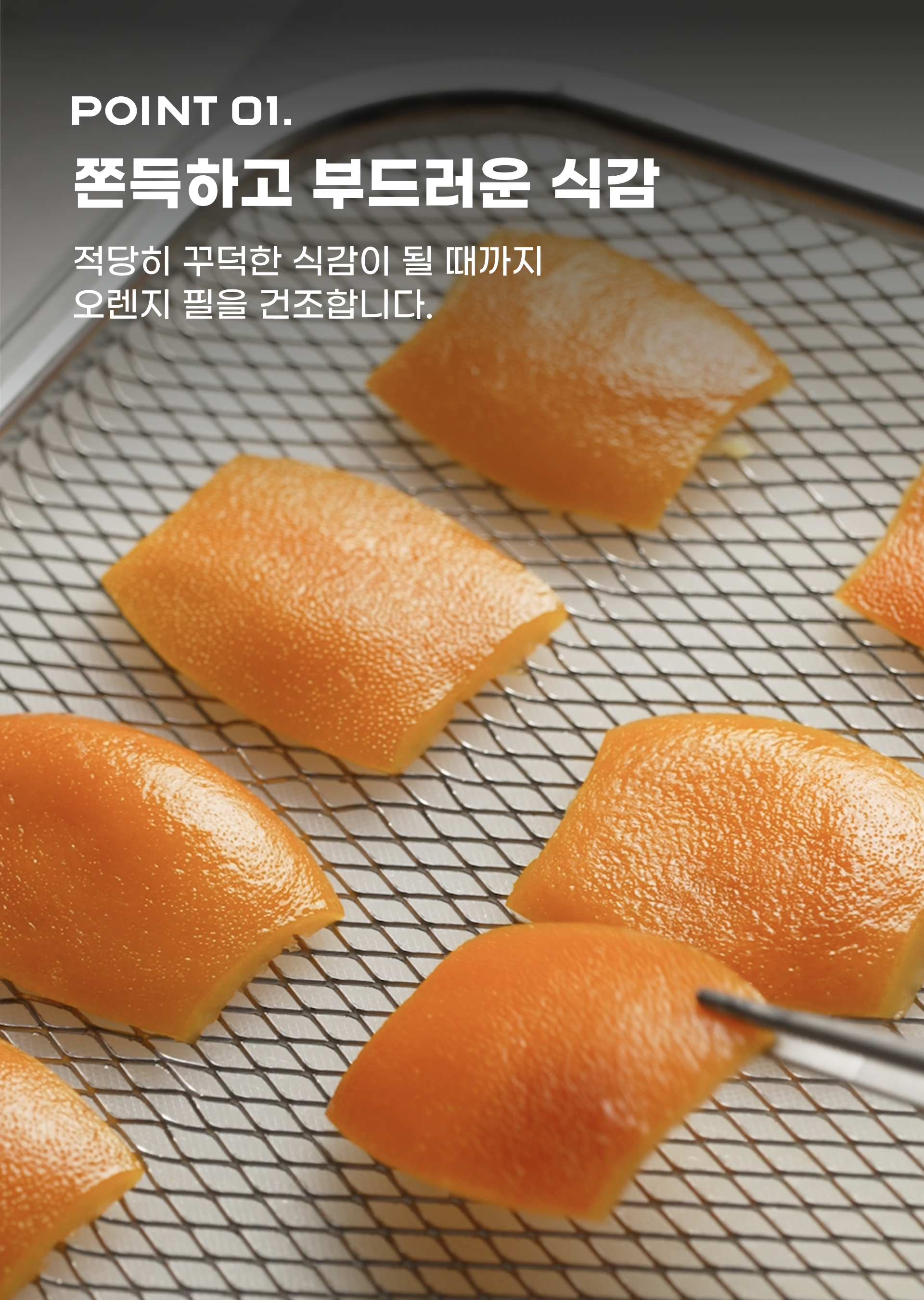 261001_오랑제트_04.png
