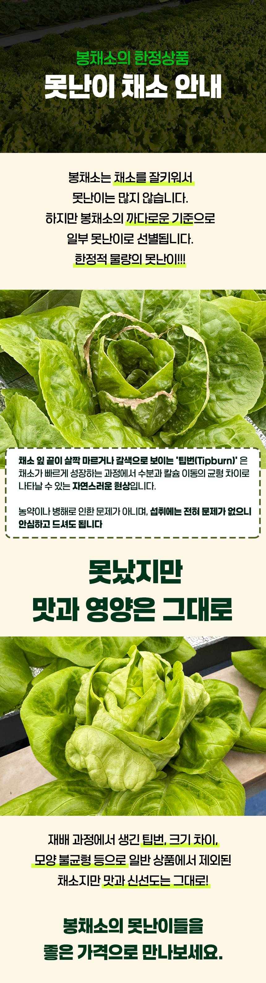 못난이채소_안내.jpg