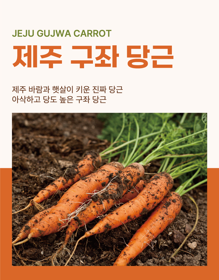 다미_구좌당근_01.jpg