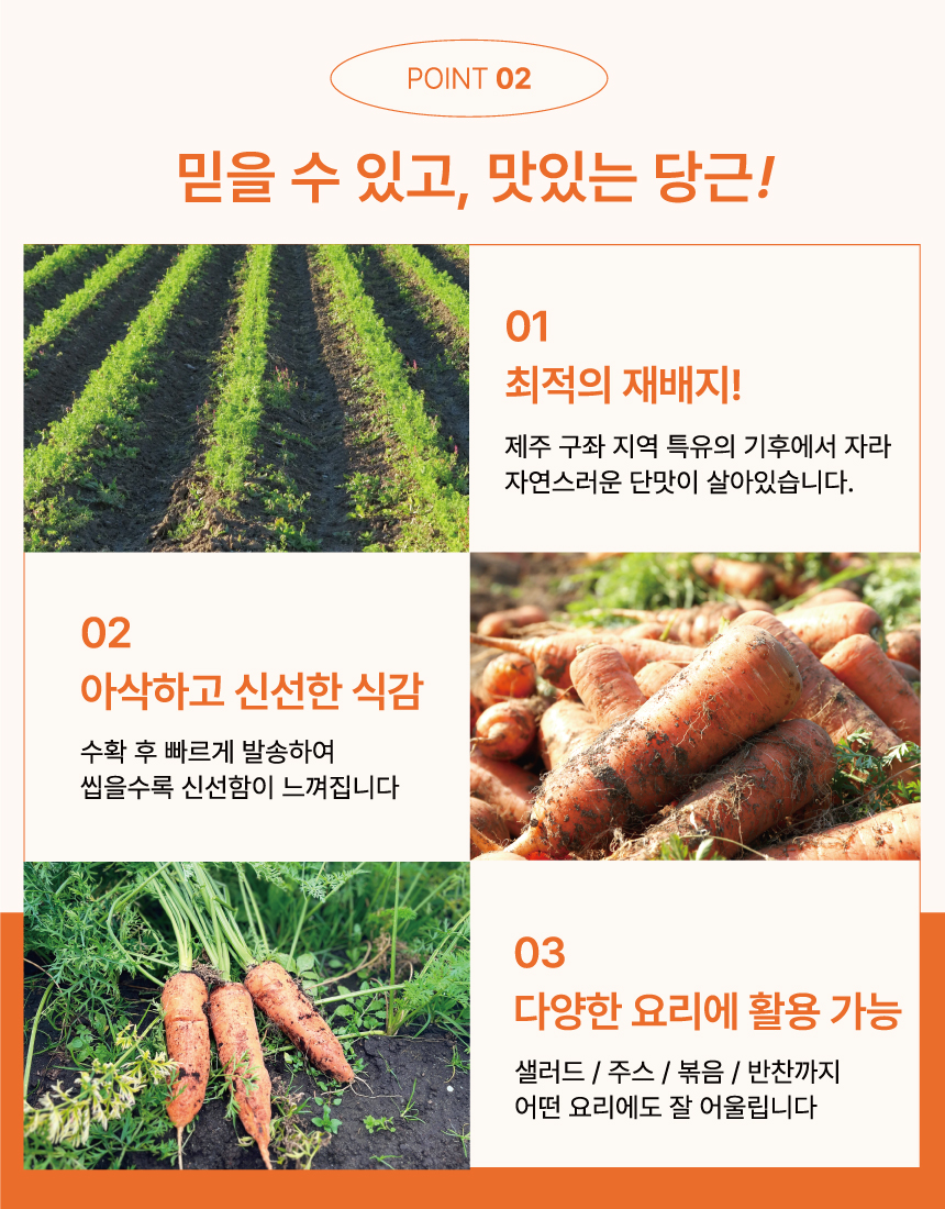 다미_구좌당근_04.jpg