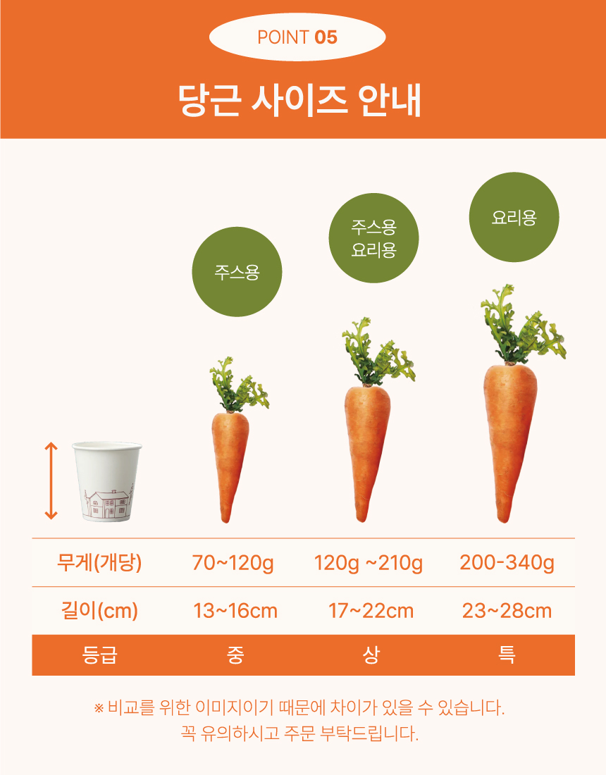 다미_구좌당근_06.jpg