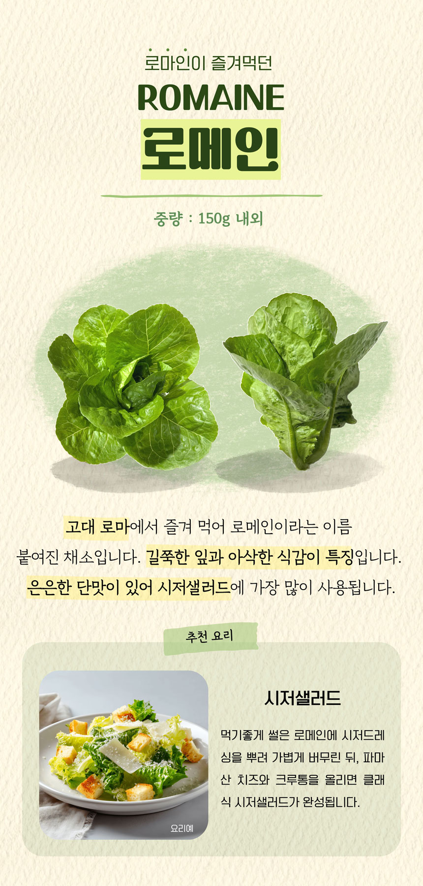 로메인.jpg