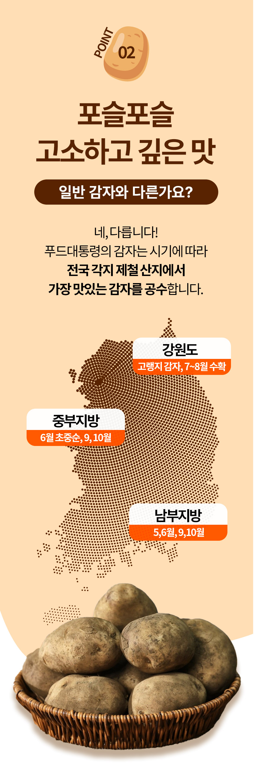 05.jpg