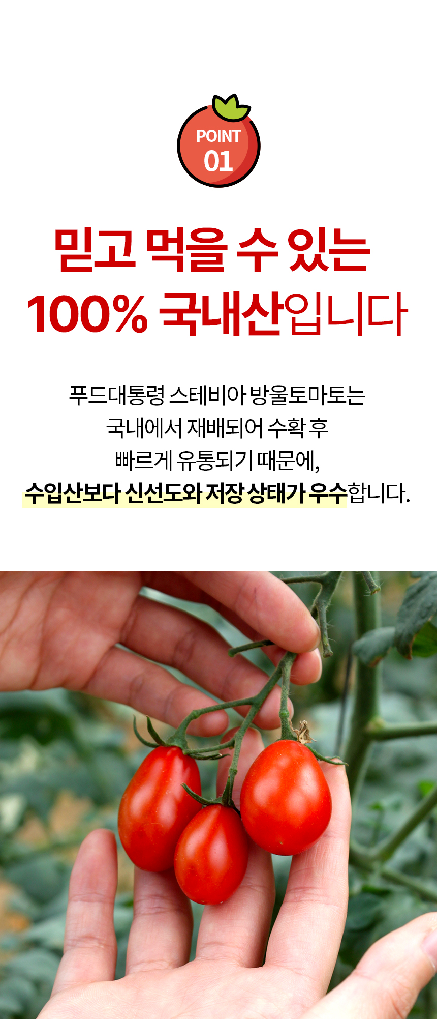 860_스테비아-방울토마토_03.jpg