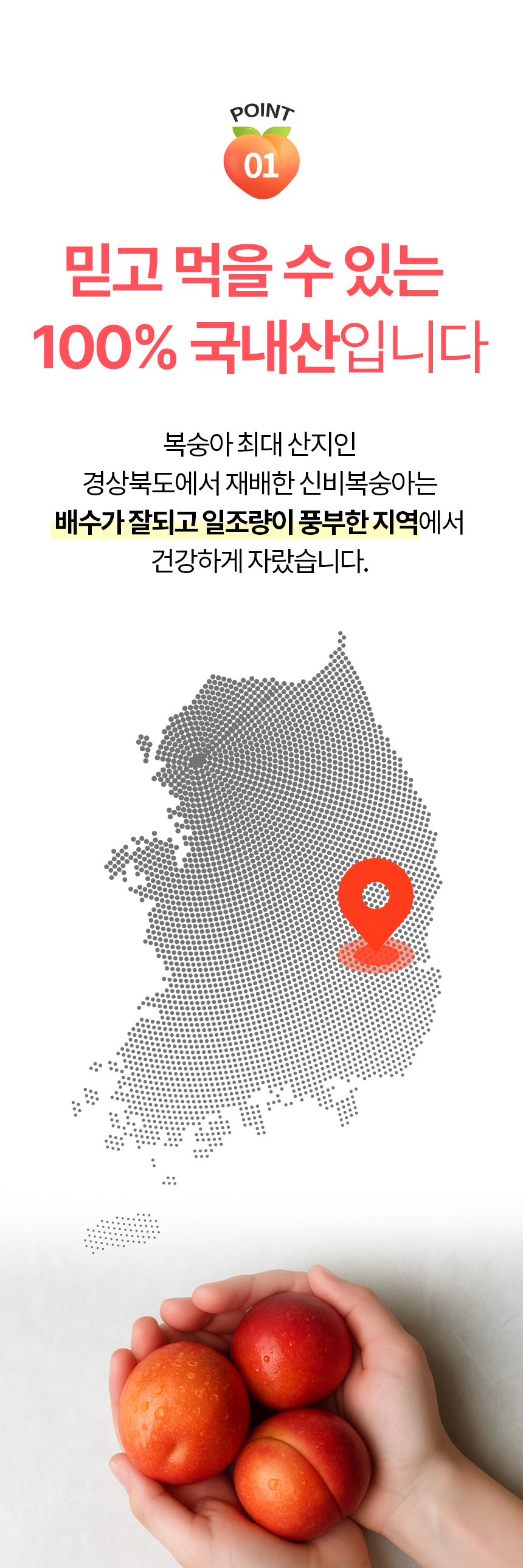 860_신비복숭아_04.jpg
