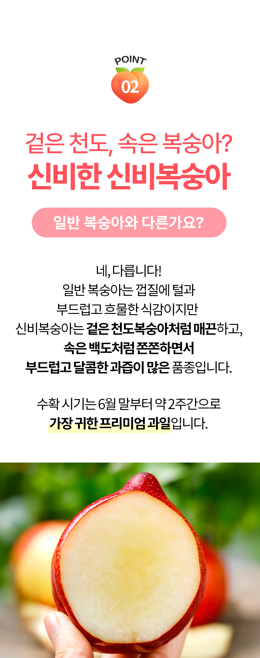 860_신비복숭아_05.jpg