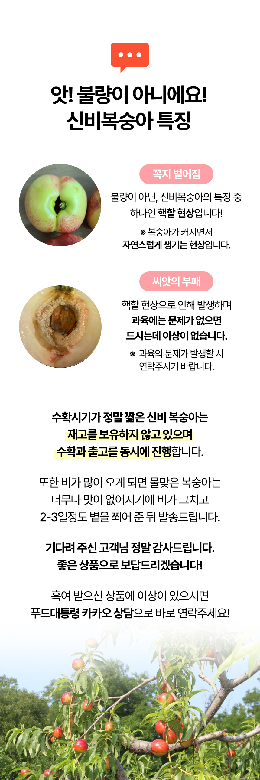 신비복숭아_마지막이미지1_03.jpg
