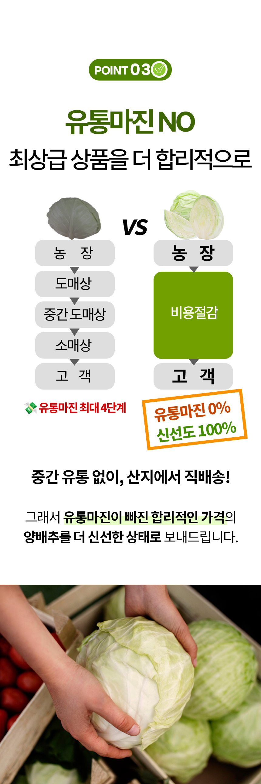06.jpg