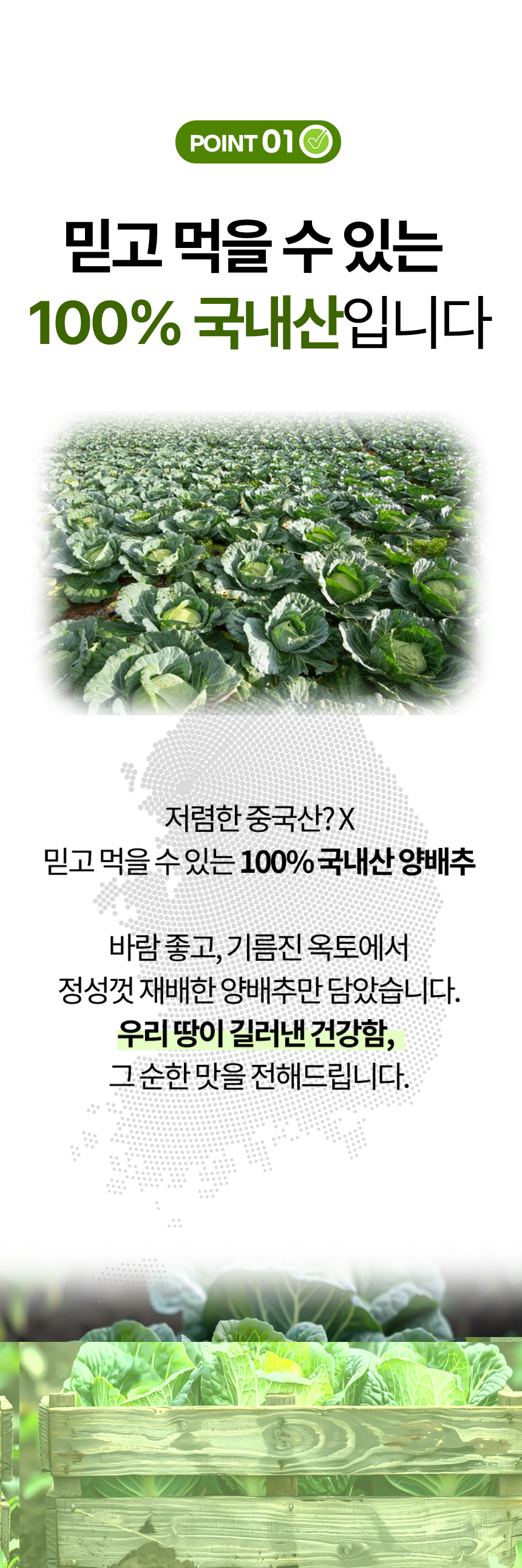 03.jpg