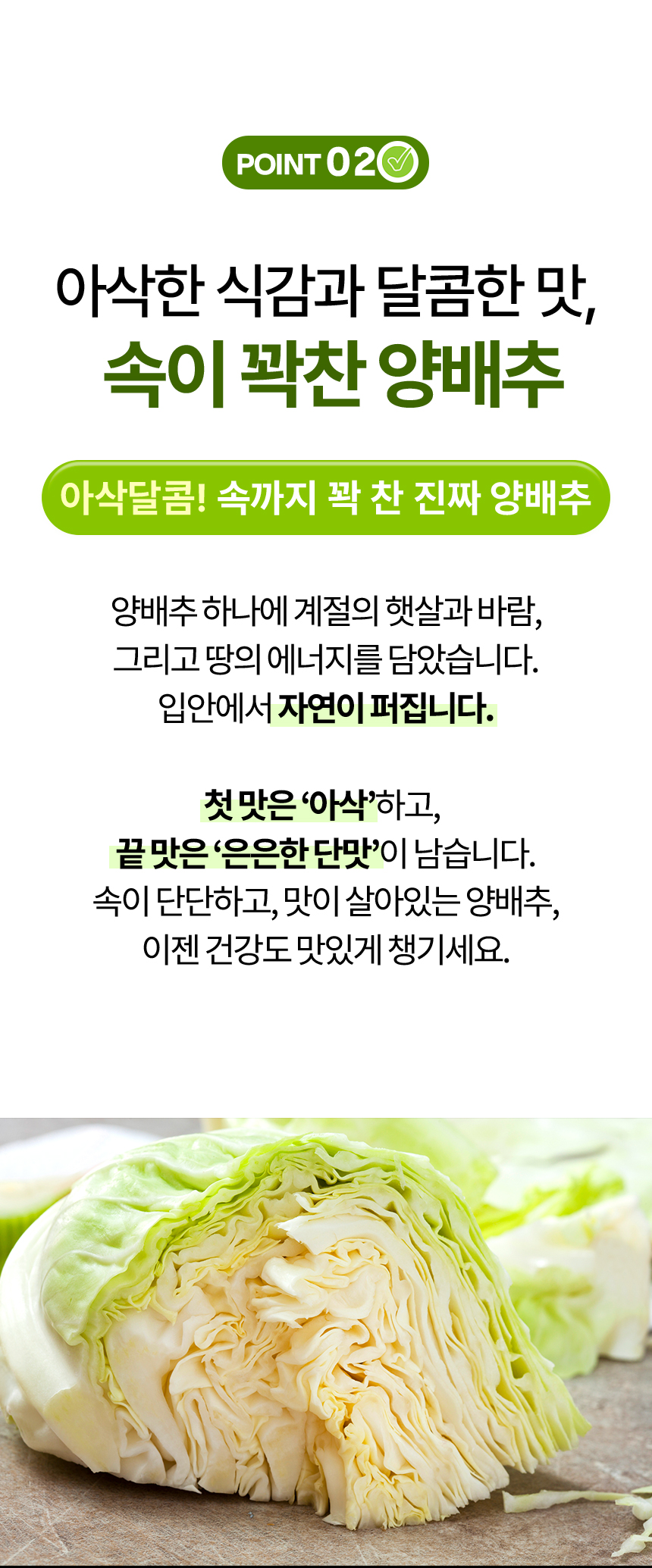 04.jpg