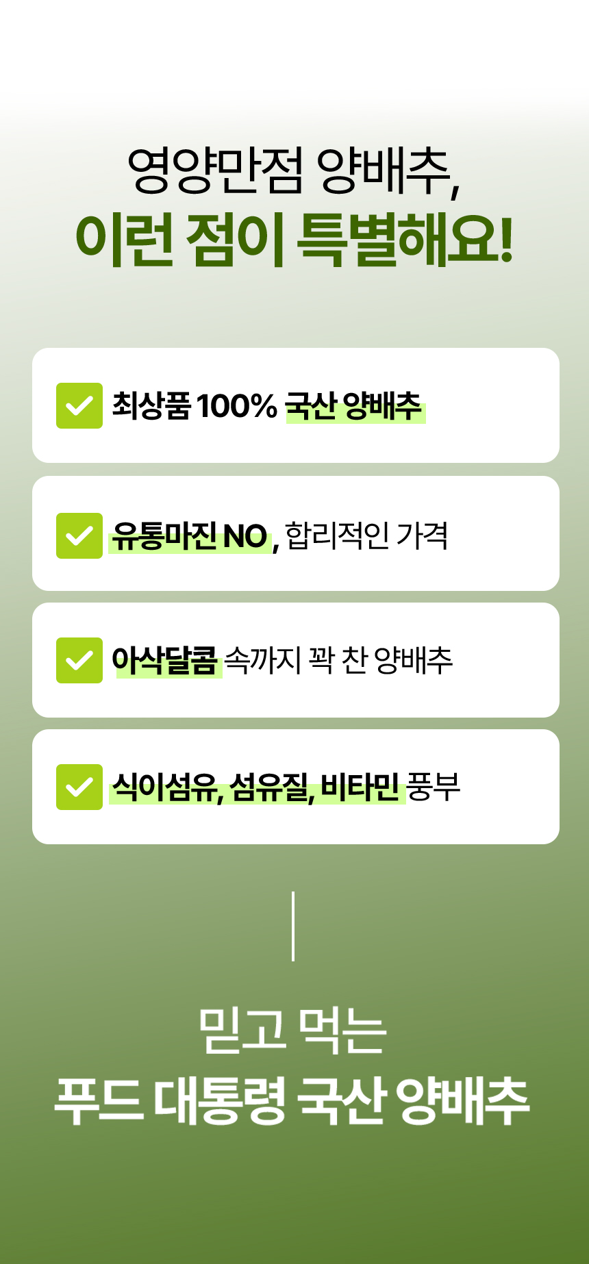 05.jpg