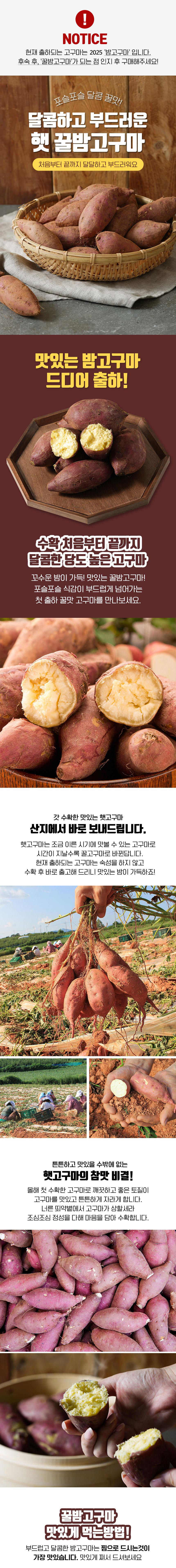 bam_goguma_01.jpg