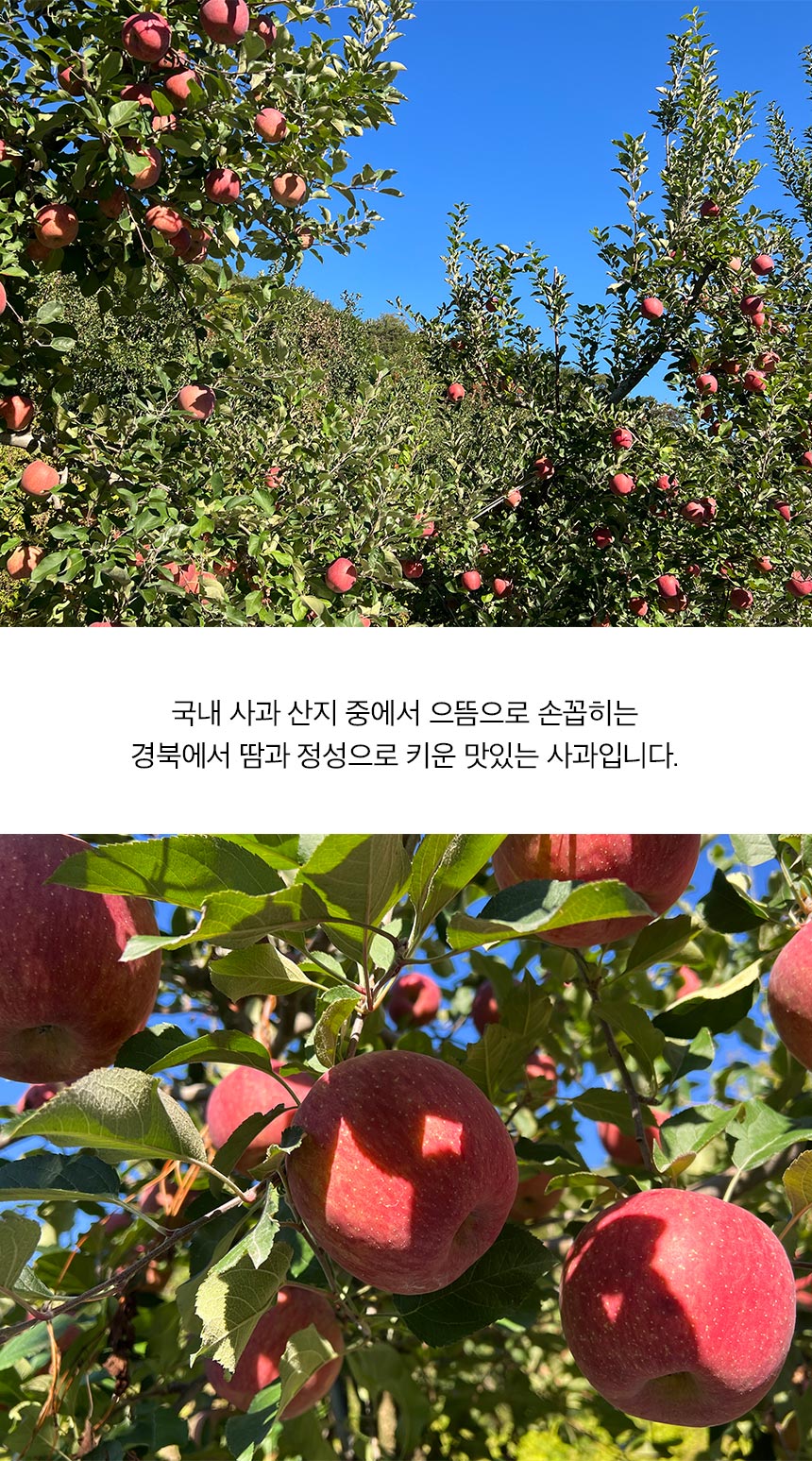 0_05.jpg