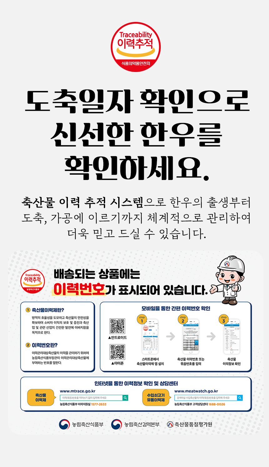 0_11.jpg