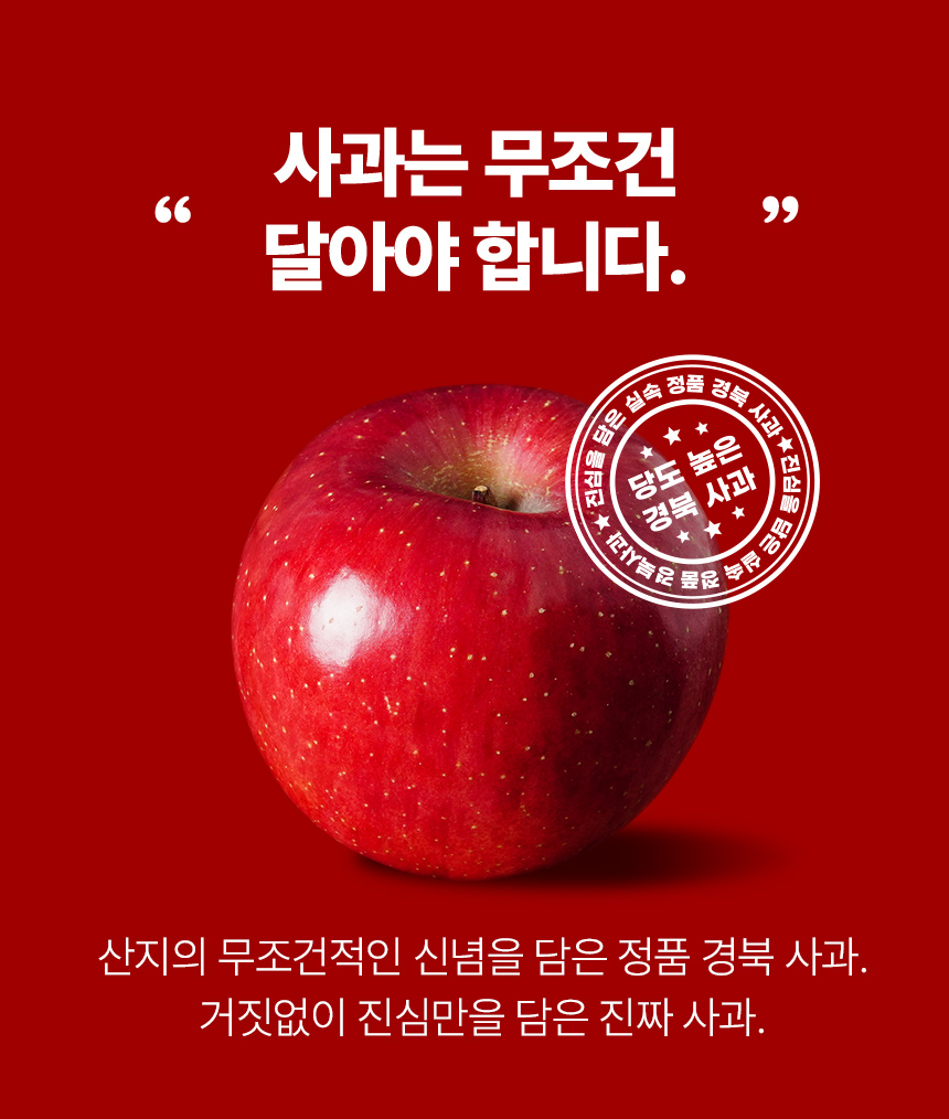 0_02.jpg