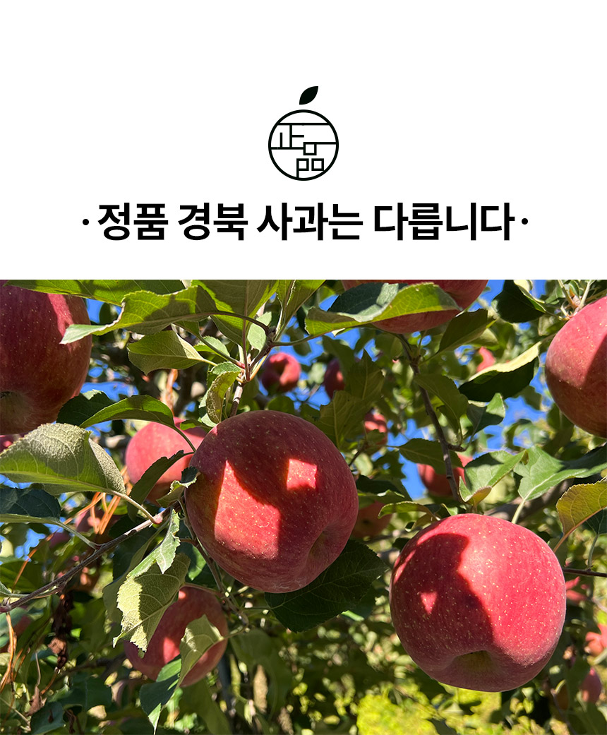 0_11.jpg