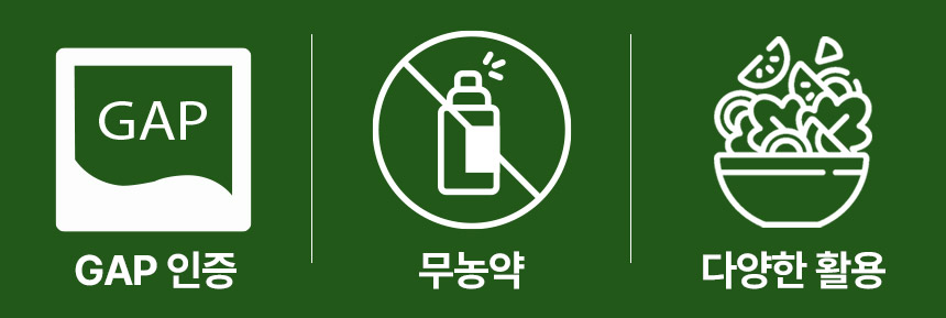 0_02.jpg