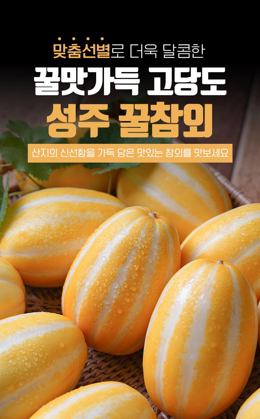 250228_참외2023_01.jpg