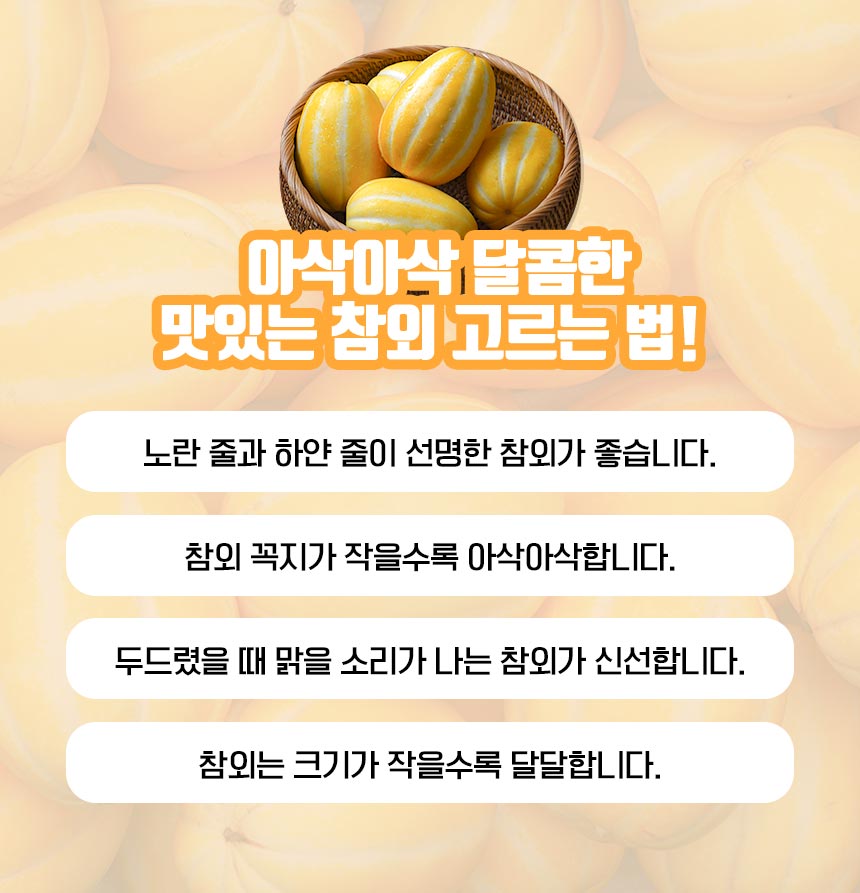 250228_참외2023_08.jpg