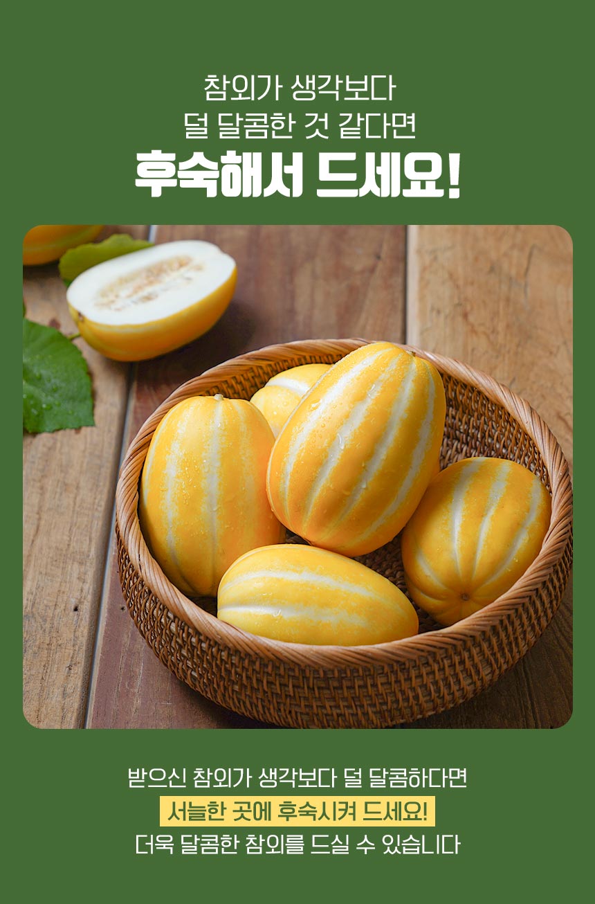 250228_참외2023_10.jpg