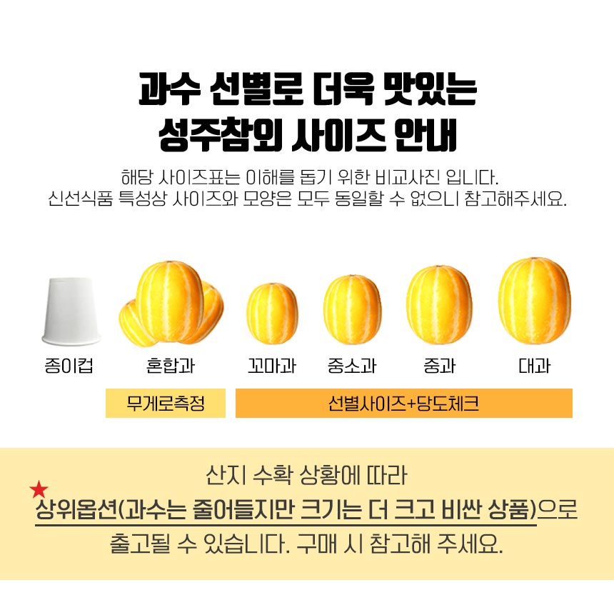 250228_참외2023_11.jpg