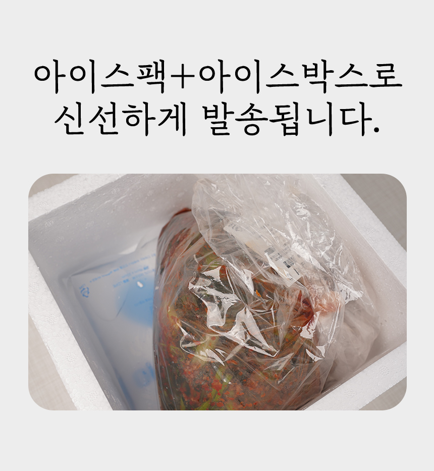0_11.jpg