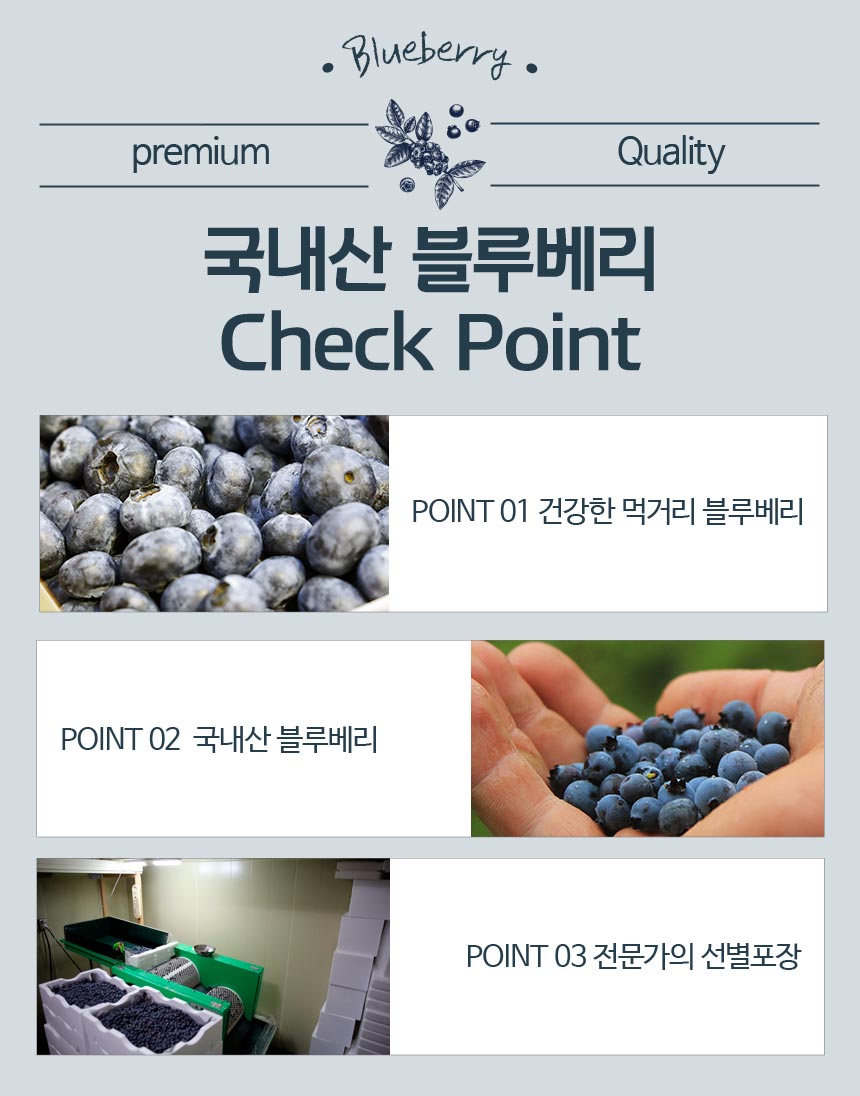 블루베리_03.jpg